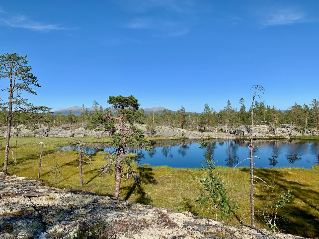 Råndalen | Obygdens orienteringsklubb