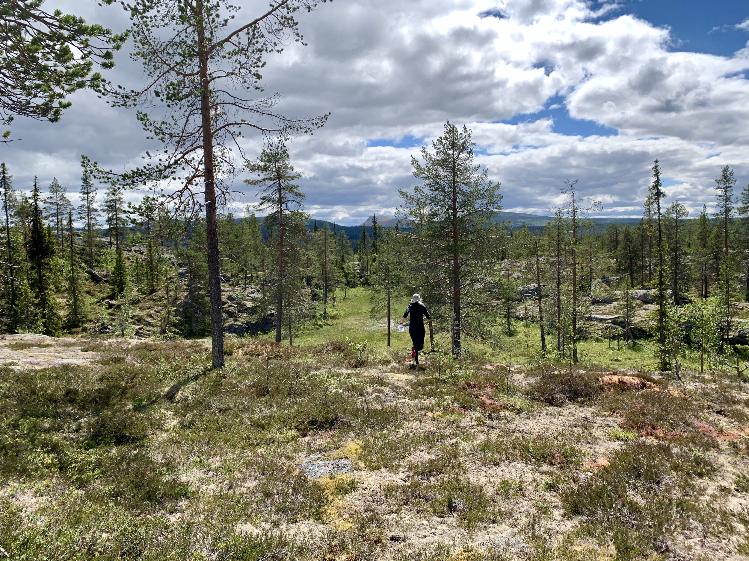 Person springer i terrängen i Råndalen med fjällen i bakgrunden